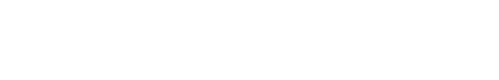 footer-logo